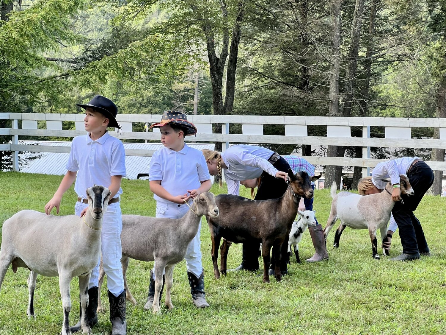 Sullivan County's G.O.A.T. Getters 4-H Club attended the Little World's Fair this summer.